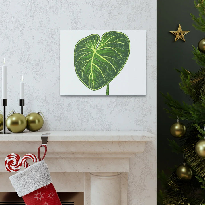 Philodendron Gloriosum Canvas - Stretched Canvas Art Print | Matte Indoor Wall Art - Laura Christine Photography & Design