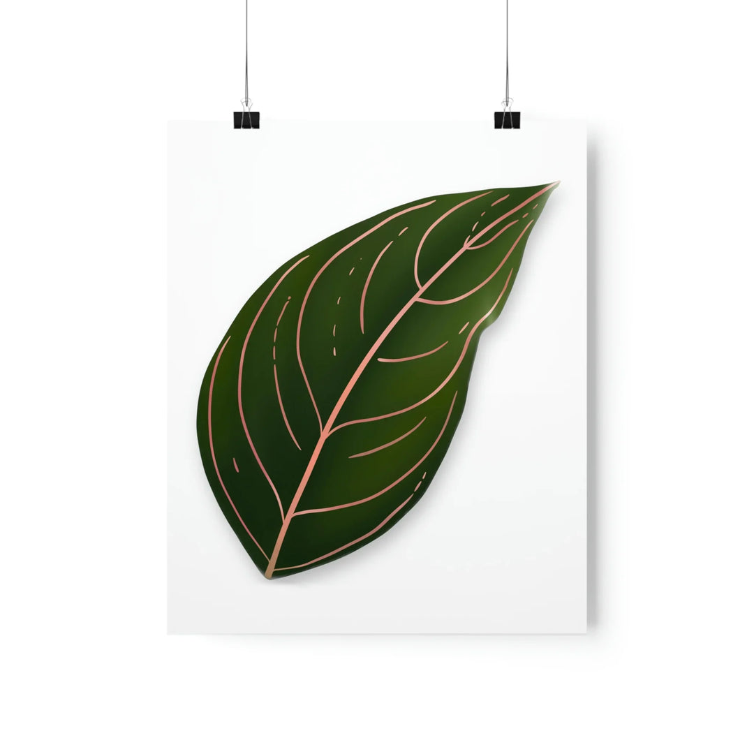 Aglaonema Rotundum Print – Botanical Wall Art on Museum Grade Paper | Unframed