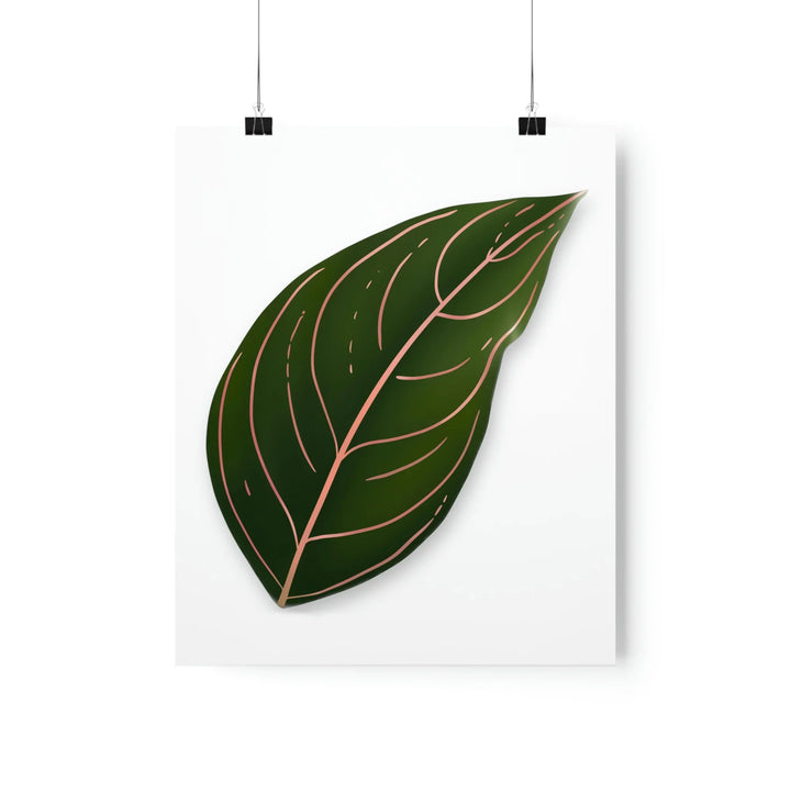 Aglaonema Rotundum Print – Botanical Wall Art on Museum Grade Paper | Unframed