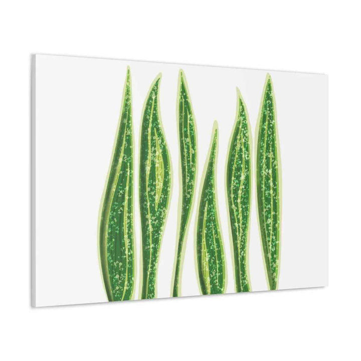 Snake Plant Canvas | Botanical Canvas Decor - Matte Finish Artwork for Living Room