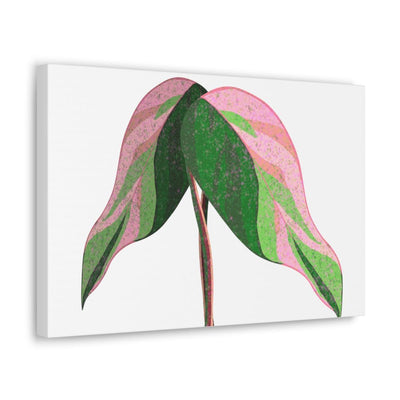 Pink Princess Philodendron Canvas, Canvas, Laura Christine Photography & Design, Art & Wall Decor, Canvas, Hanging Hardware, Home & Living, Indoor, Laura Christine Photography & Design, laurachristinedesign.com