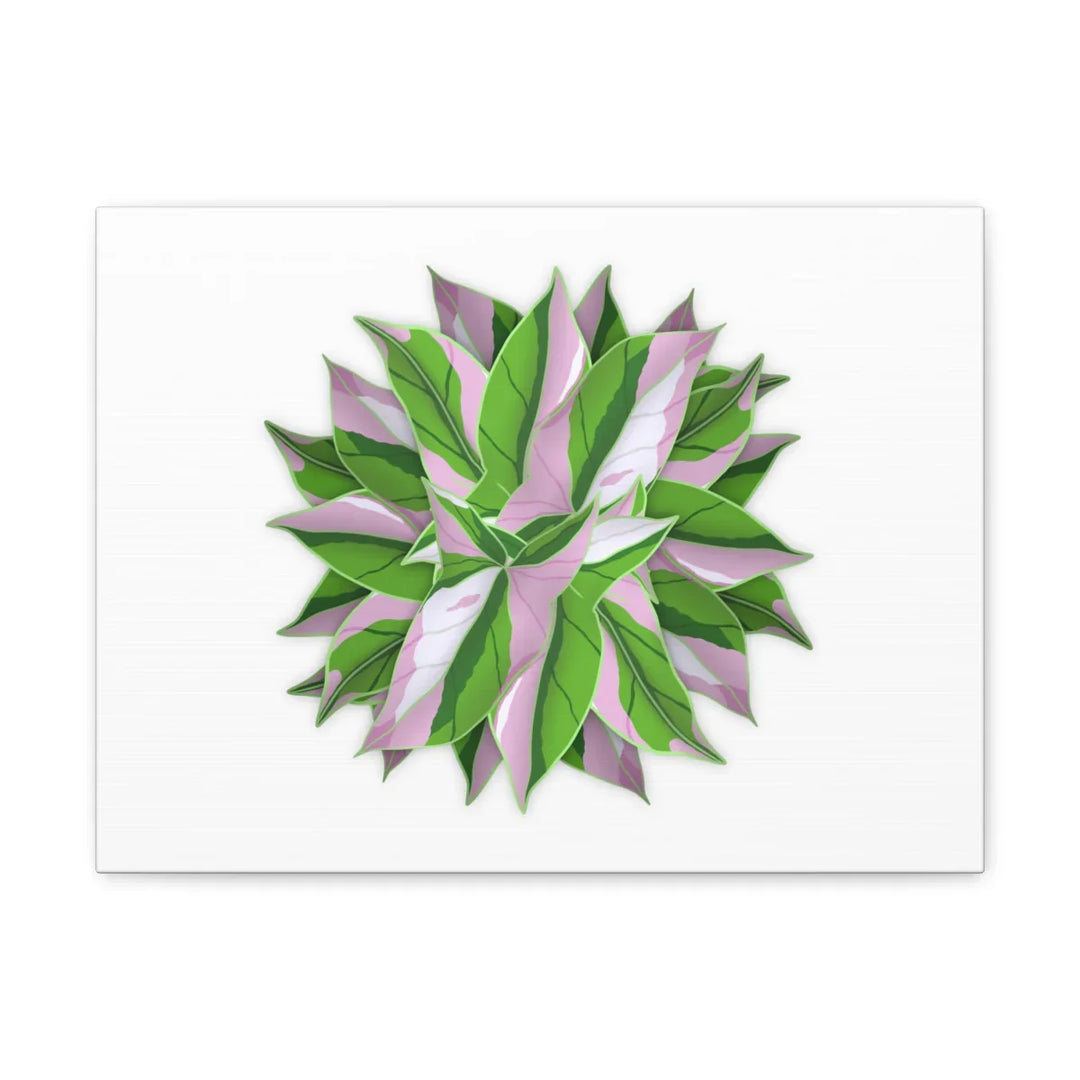 Tricolor Syngonium Canvas - Durable Canvas Art Print With Matte Finish & Botanical Design - Laura Christine Photography & Design