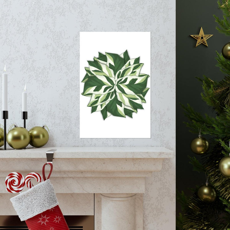 Calathea White Fusion Print, Poster, Laura Christine Photography & Design, Back to School, Bottle, Calathea, Canvas Bag, Coffee, Drinkware, Home & Living, Indoor, Matte, Paper, Posters, Prayer Plant, Reusable, Shopping Bag, Tea, Tote Bag, Travel, Tumbler, Valentine&