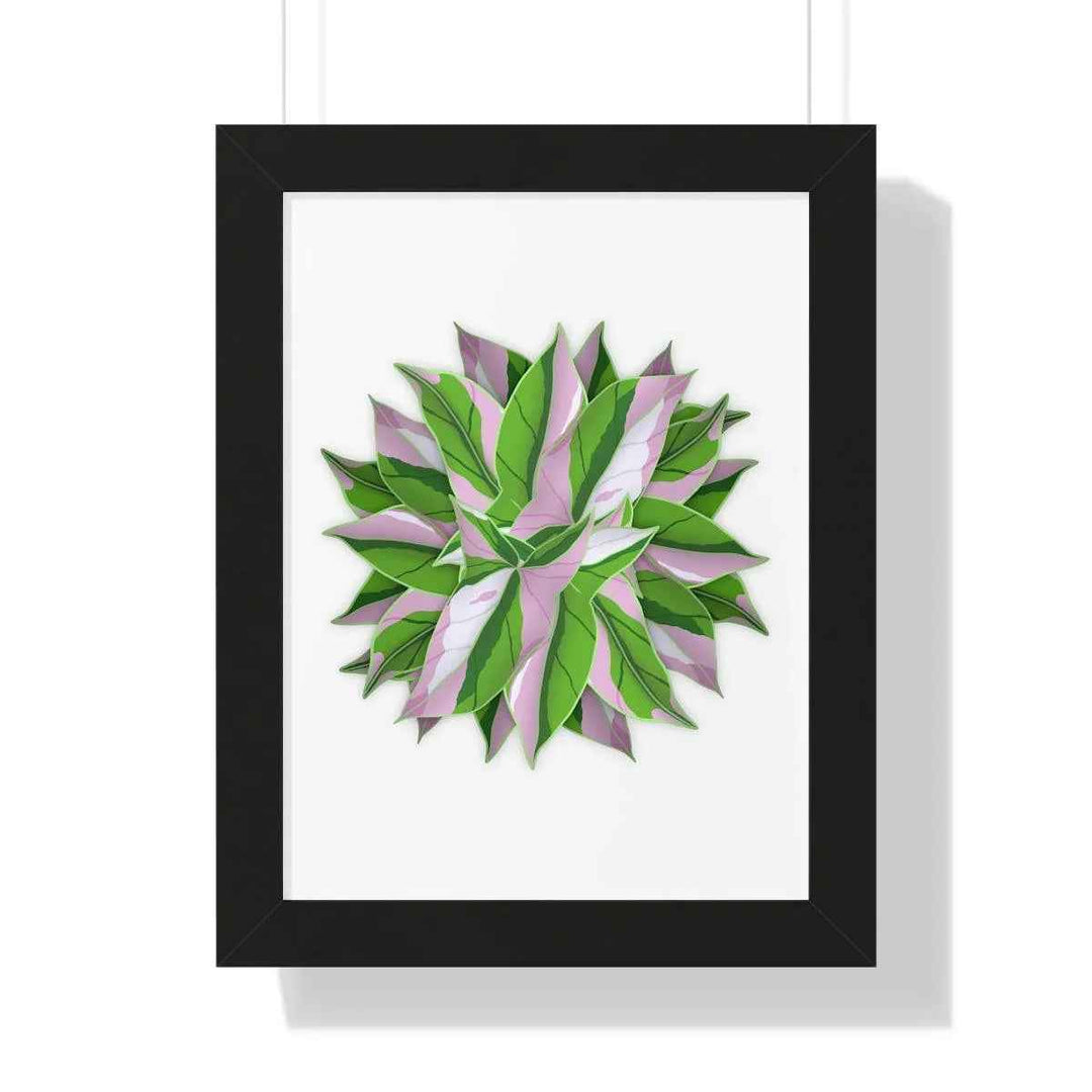 Syngonium Tricolor Print - Framed Botanical Art With Matte Finish & Acrylic Cover