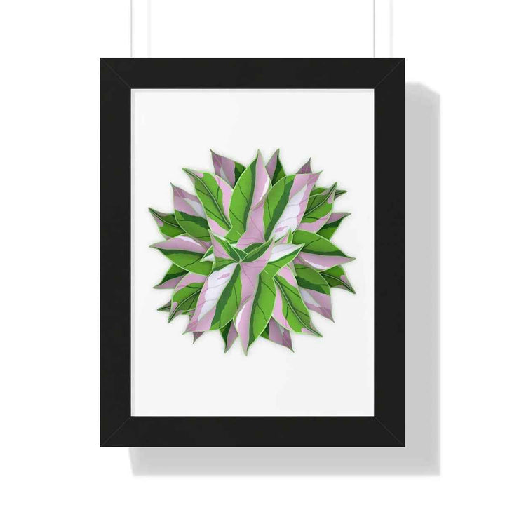 Syngonium Tricolor Print - Framed Botanical Art With Matte Finish & Acrylic Cover