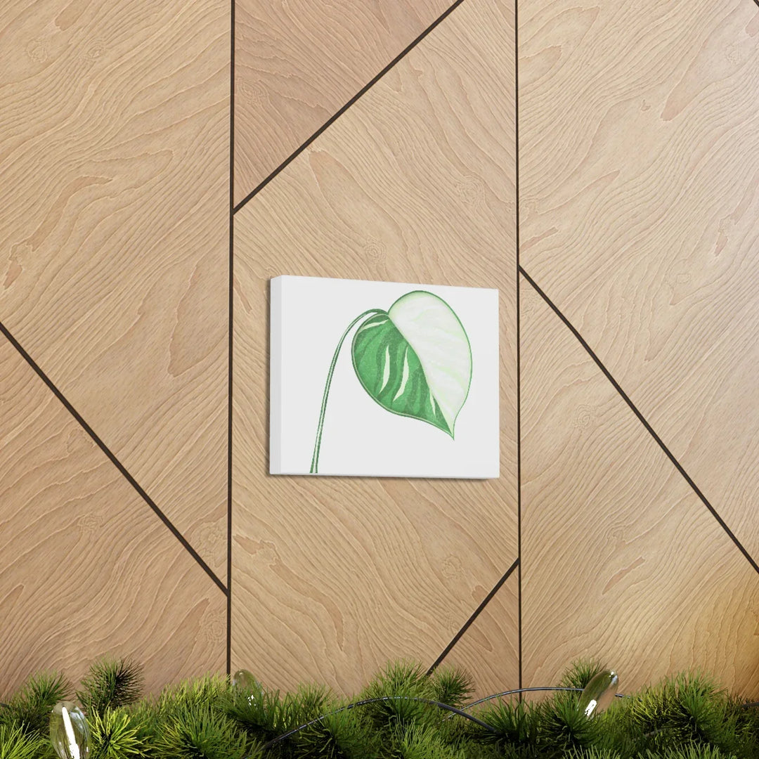Monstera Albo Canvas | Large Tropical Leaf Artwork - Matte Finish Canvas Art Print - Laura Christine Photography & Design