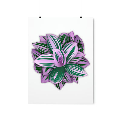 Tradescantia Nanouk Print