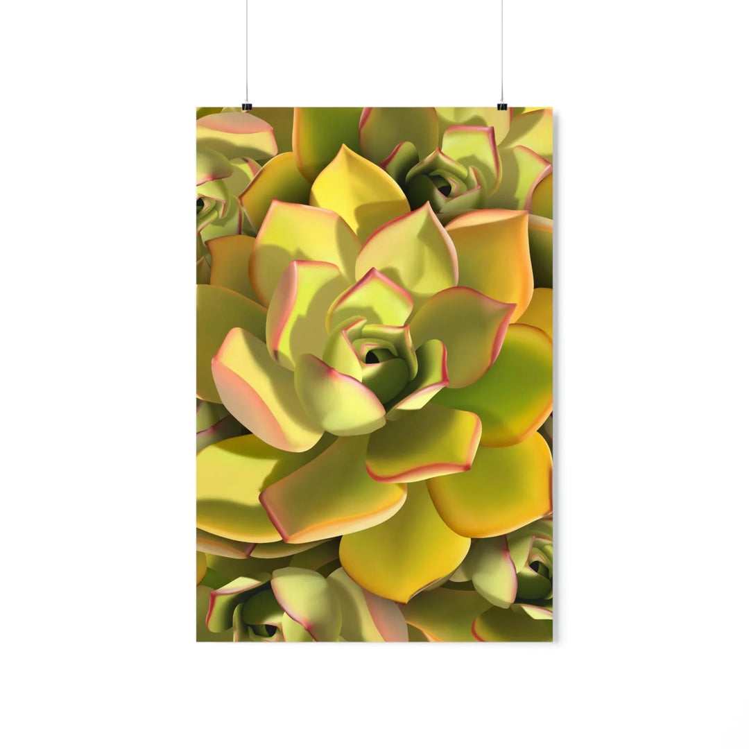 Noble Aeonium Succulent Pattern Print, Poster, Printify, Back to School, Home & Living, Indoor, Matte, Paper, Posters, Valentine's Day promotion, Laura Christine Photography & Design, laurachristinedesign.com