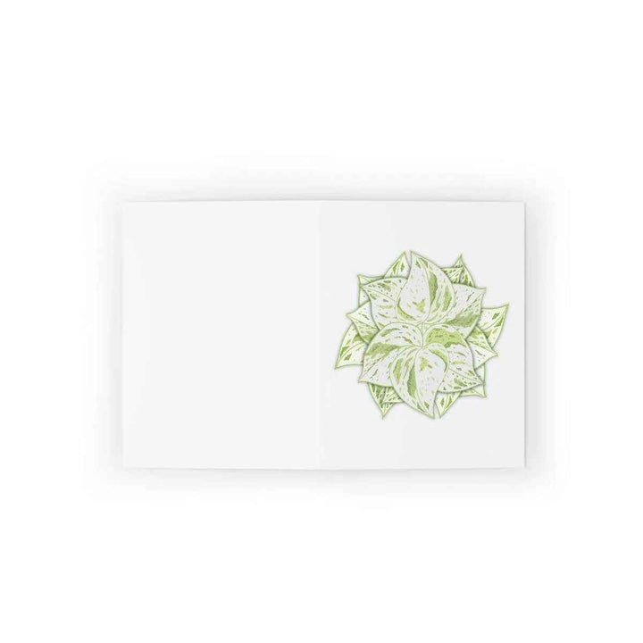 Snow Queen Greeting Card – Pothos Variegated Plant Design on Robust Cardstock