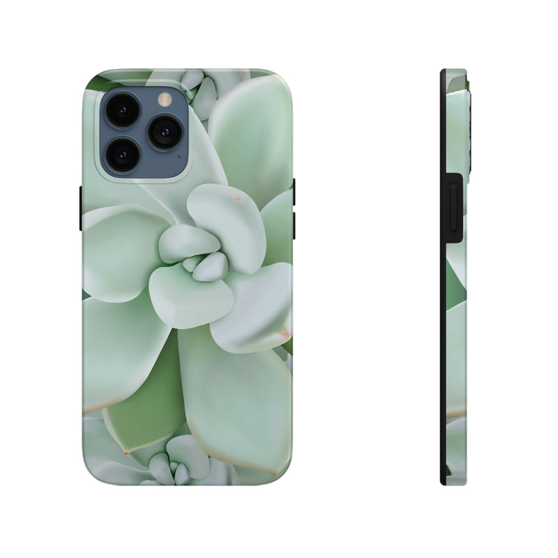 Pachyveria Haagei Succulent Phone Case, Phone Case, Printify, Accessories, Glossy, iPhone Cases, Matte, Phone accessory, Phone Cases, Samsung Cases, Laura Christine Photography & Design, laurachristinedesign.com