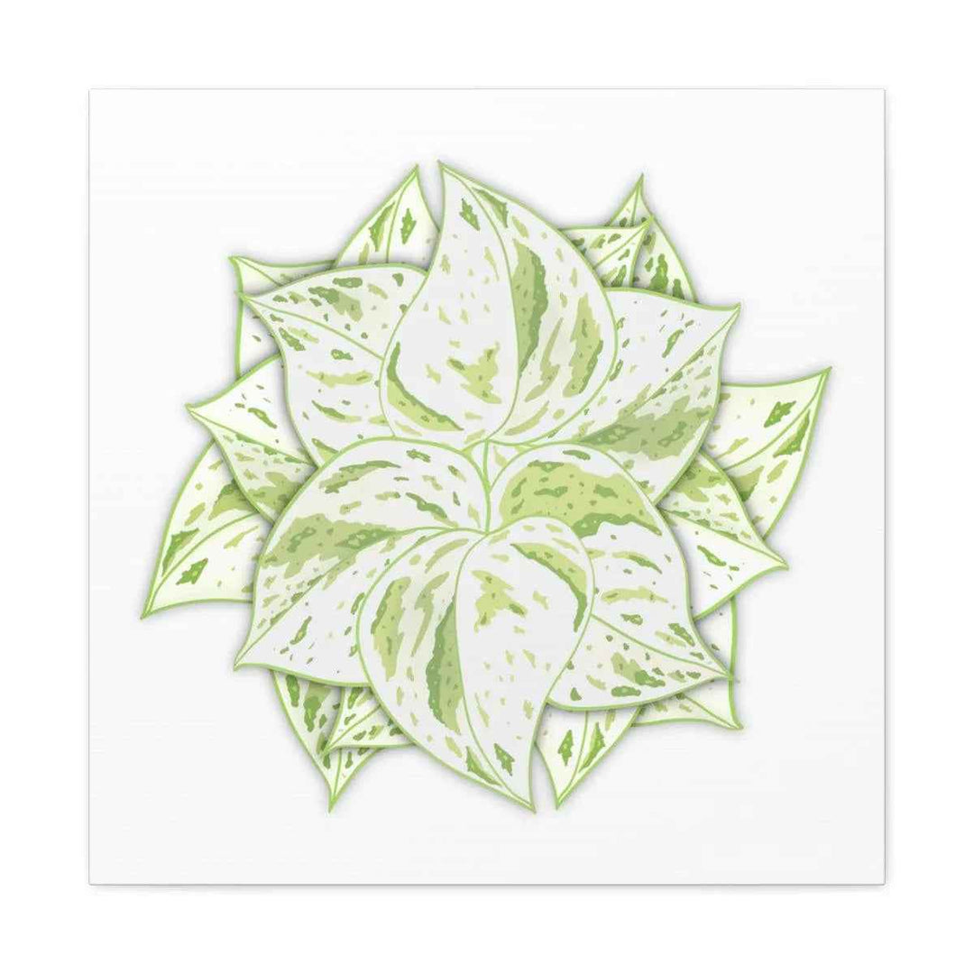 Snow Queen Pothos Canvas – Variegated Leaf Canvas Art Print | Durable Cotton
