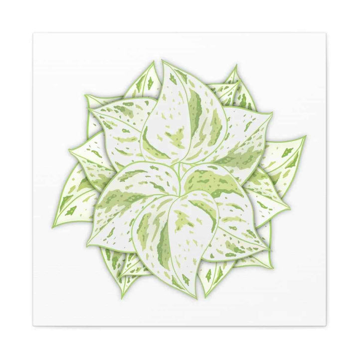 Snow Queen Pothos Canvas – Variegated Leaf Canvas Art Print | Durable Cotton