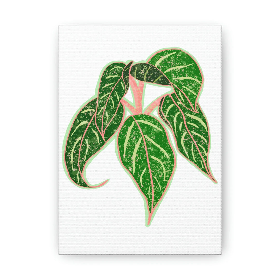 Aglaonema Plant Canvas | Sparkling Plant Artwork - Colorfast Canvas Art Print Decor