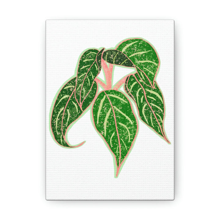 Aglaonema Plant Canvas | Sparkling Plant Artwork - Colorfast Canvas Art Print Decor