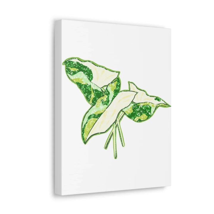 Marble Syngonium Canvas - Botanical Canvas Art Print | Durable Cotton Matte Finish - Laura Christine Photography & Design