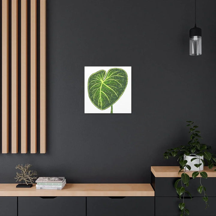 Philodendron Gloriosum Canvas - Stretched Canvas Art Print | Matte Indoor Wall Art - Laura Christine Photography & Design