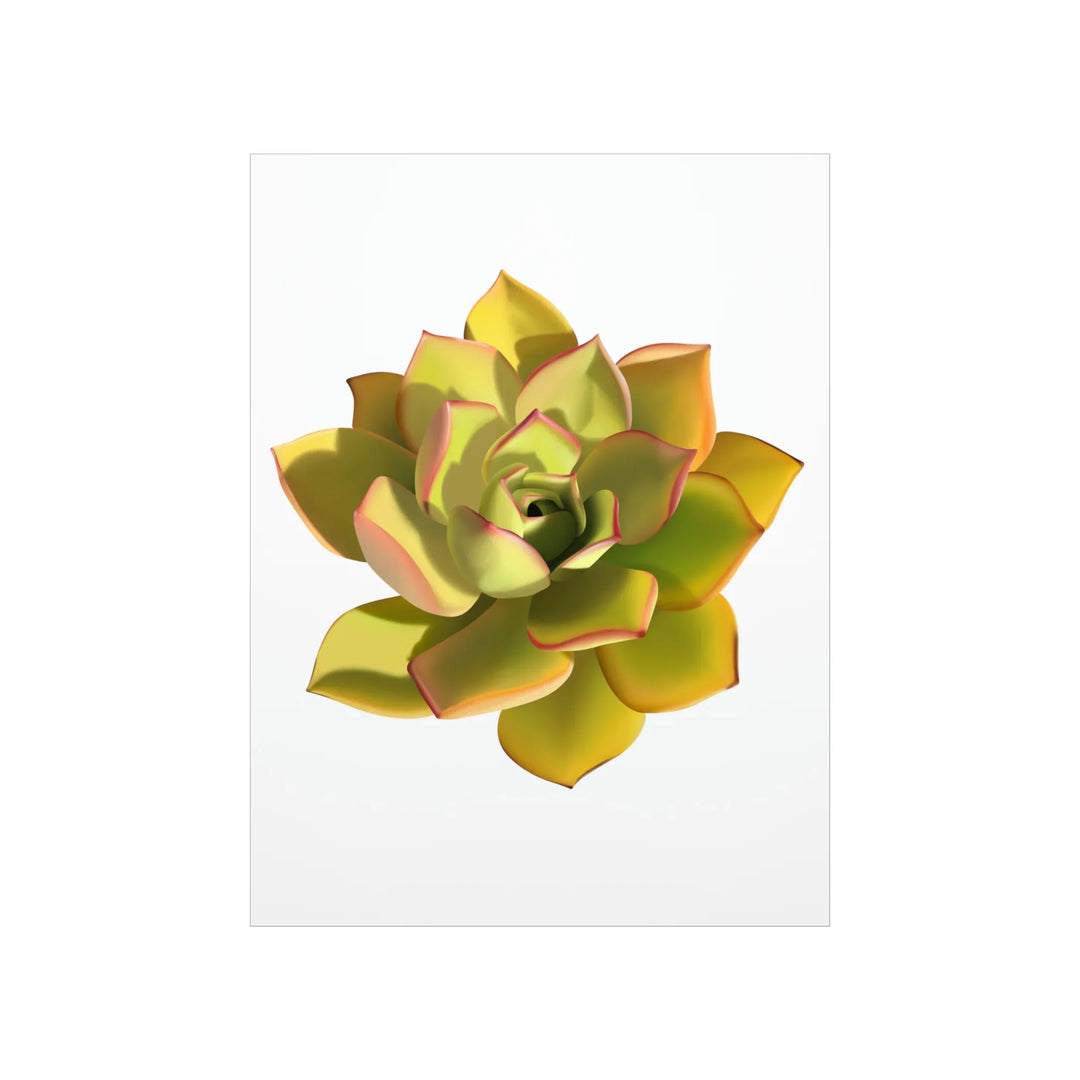 Noble Aeonium Print – Vibrant Succulent Wall Art on Museum-Grade Paper Poster Unframed