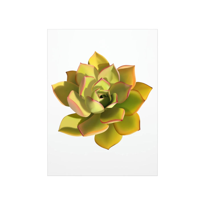 Noble Aeonium Print – Vibrant Succulent Wall Art on Museum-Grade Paper Poster Unframed