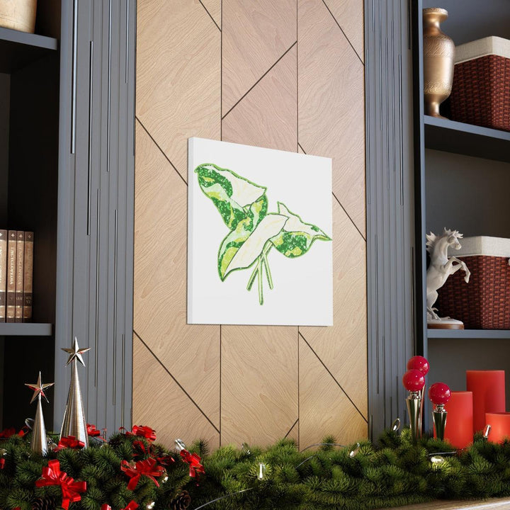 Marble Syngonium Canvas - Botanical Canvas Art Print | Durable Cotton Matte Finish - Laura Christine Photography & Design