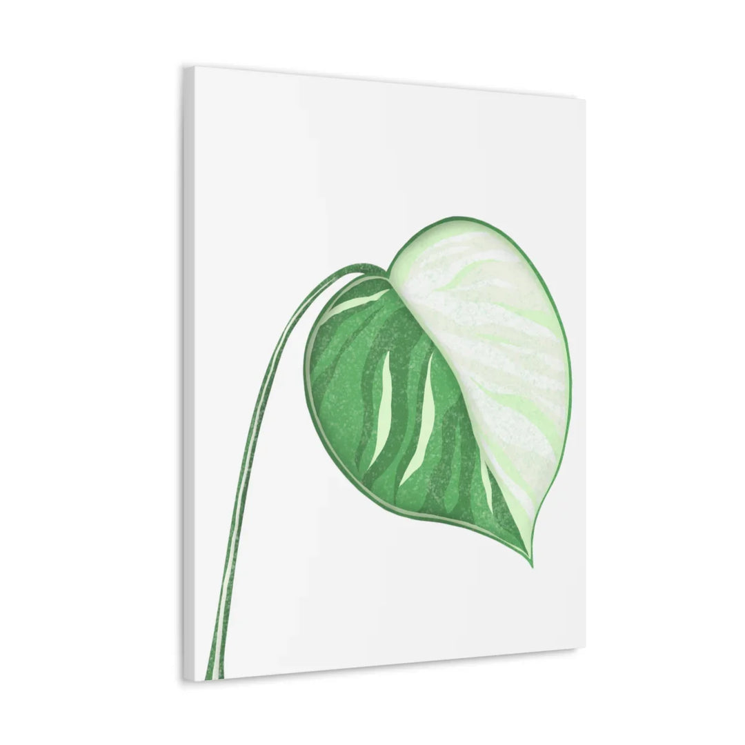 Monstera Albo Canvas | Large Tropical Leaf Artwork - Matte Finish Canvas Art Print - Laura Christine Photography & Design