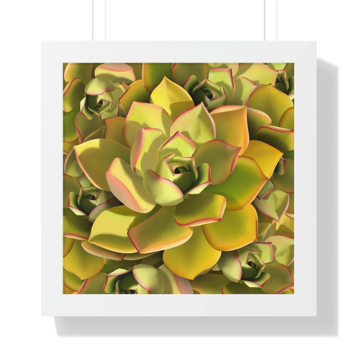 Noble Aeonium Succulent Pattern Framed Print, Poster, Printify, Framed, Home & Living, Indoor, Paper, Posters, Laura Christine Photography & Design, laurachristinedesign.com