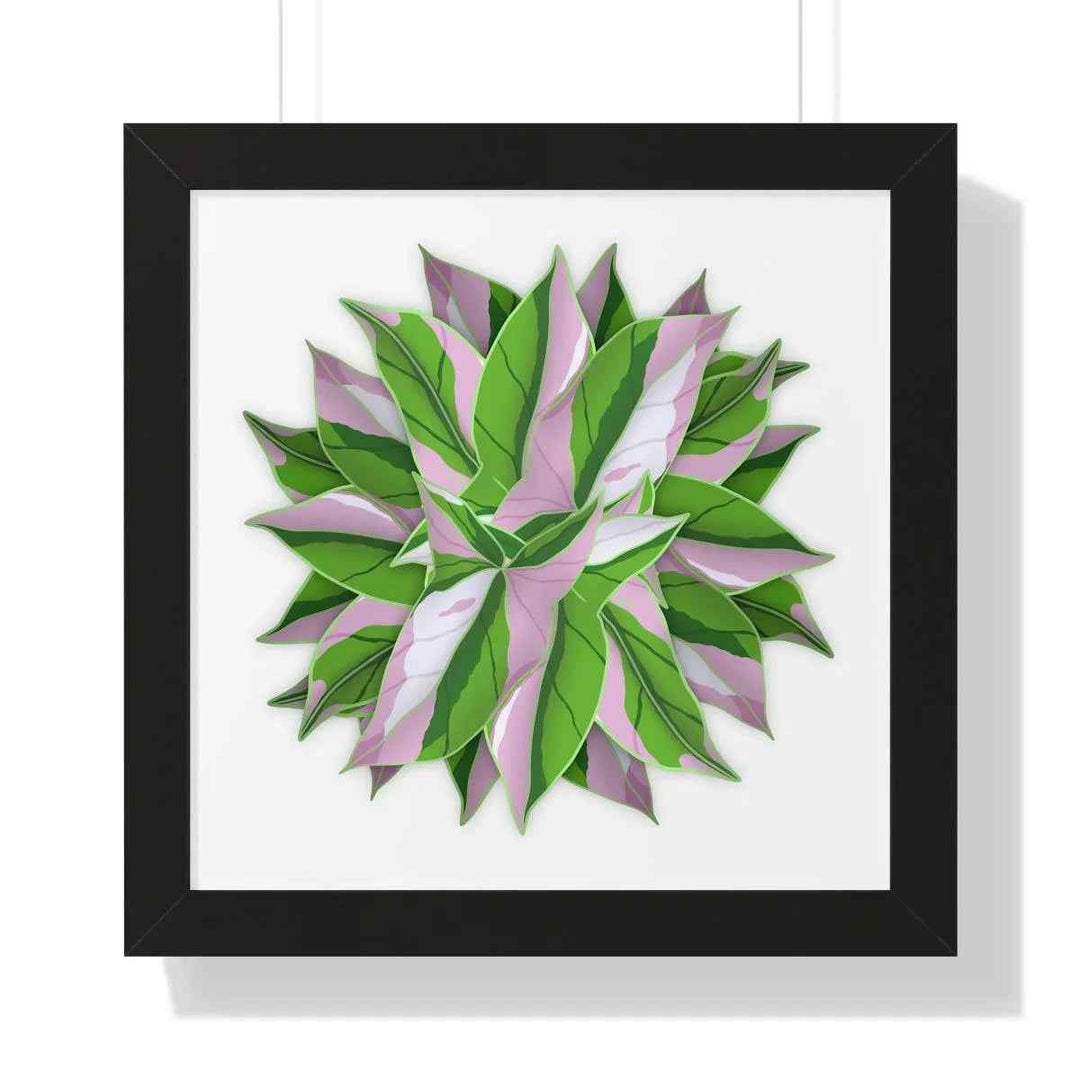 Syngonium Tricolor Print - Framed Botanical Art With Matte Finish & Acrylic Cover