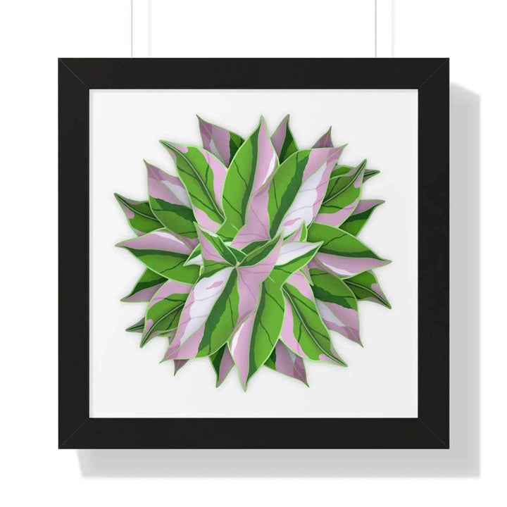 Syngonium Tricolor Print - Framed Botanical Art With Matte Finish & Acrylic Cover