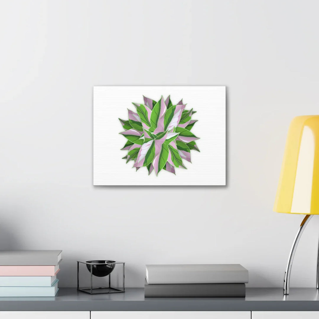 Tricolor Syngonium Canvas - Durable Canvas Art Print With Matte Finish & Botanical Design - Laura Christine Photography & Design