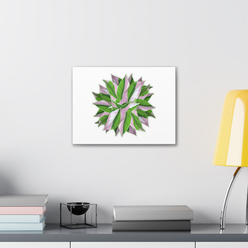 Tricolor Syngonium Canvas