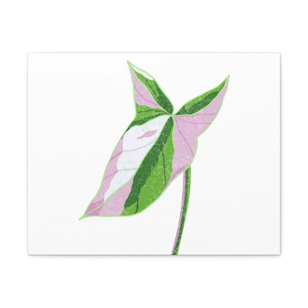 Syngonium Tricolor Canvas | Botanical Canvas Art Print With Matte Finish - Laura Christine Photography & Design