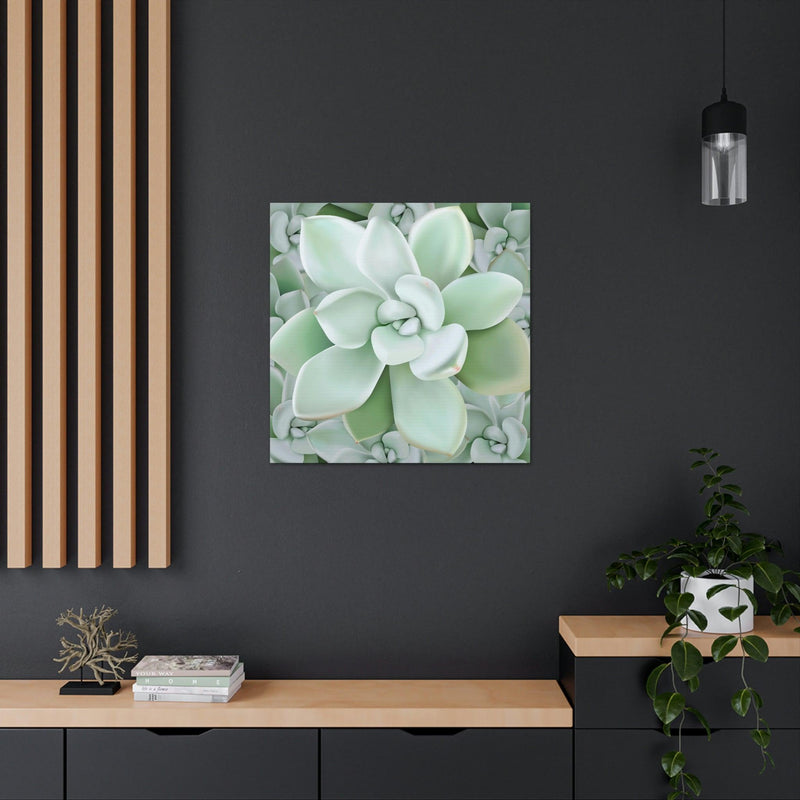 Pachyveria Haagei Succulent Pattern Canvas, Canvas, Printify, Art & Wall Decor, Canvas, Hanging Hardware, Home & Living, Indoor, Laura Christine Photography & Design, laurachristinedesign.com