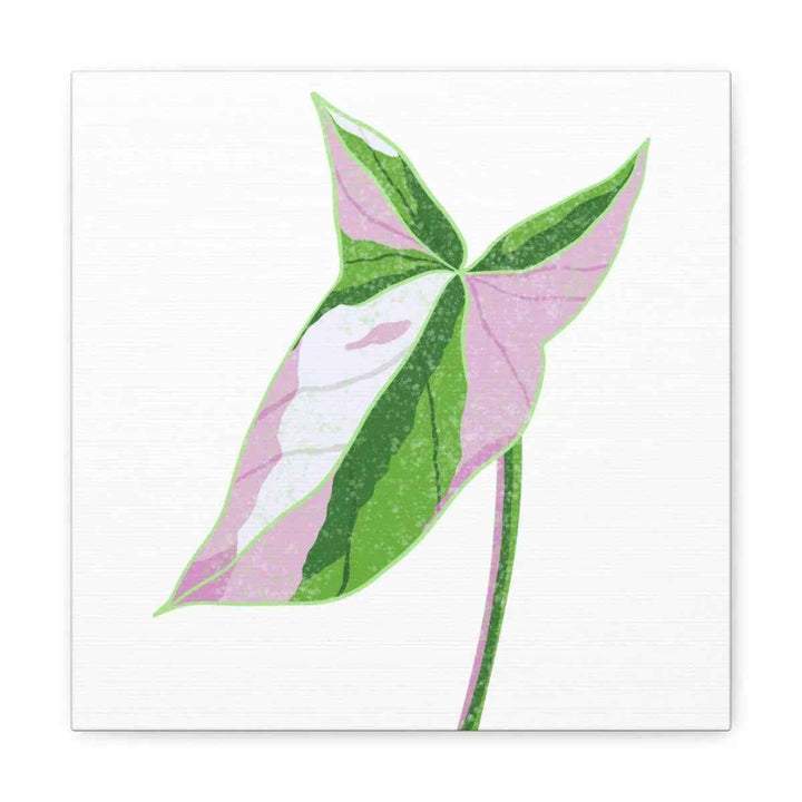 Syngonium Tricolor Canvas | Botanical Canvas Art Print With Matte Finish