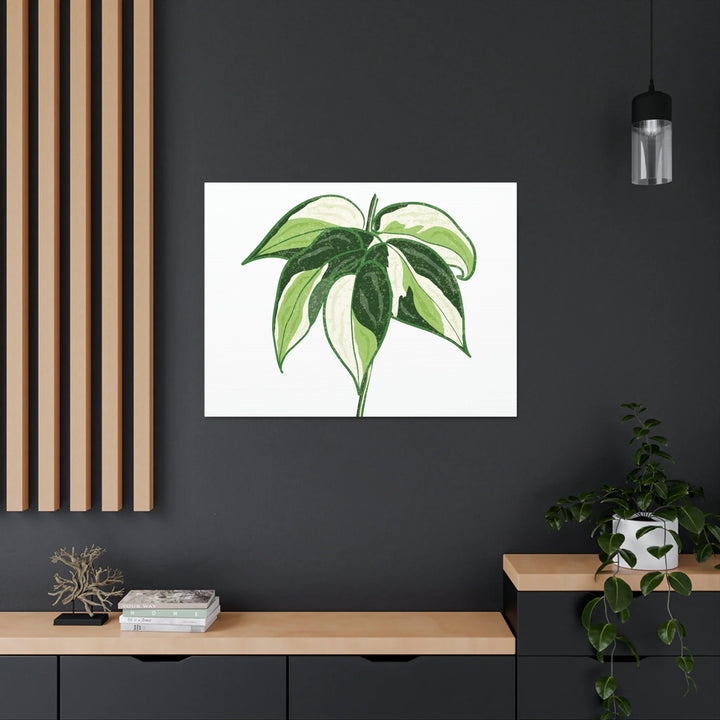 Philodendron Canvas Print - Cream Splash Variegated Plant Art on Matte Cotton Canvas