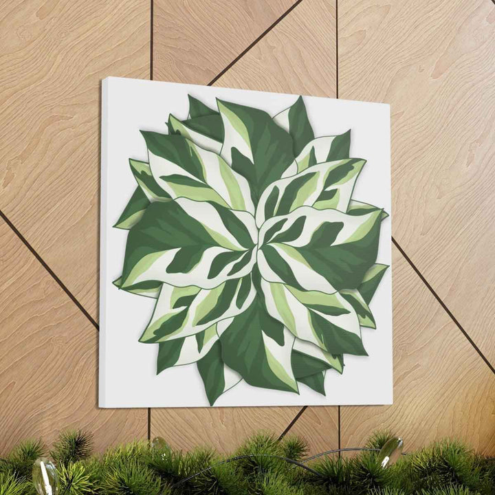 Calathea White Fusion Canvas | Indoor Wall Art - Matte Finish Botanical Canvas Art Print