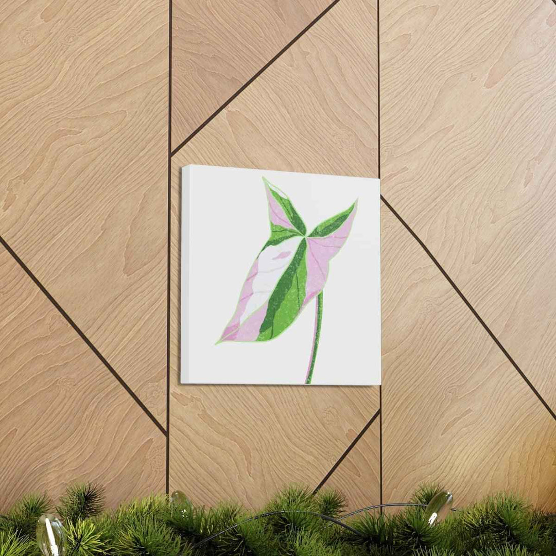 Syngonium Tricolor Canvas | Botanical Canvas Art Print With Matte Finish