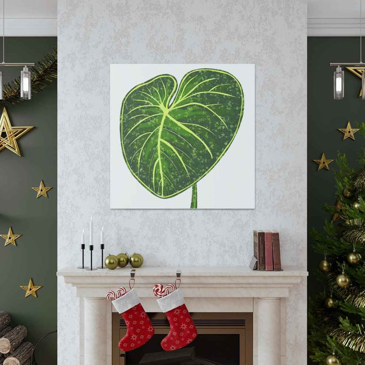 Philodendron Gloriosum Canvas - Stretched Canvas Art Print | Matte Indoor Wall Art