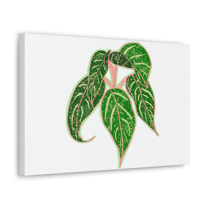 Aglaonema Plant Canvas | Sparkling Plant Artwork - Colorfast Canvas Art Print Decor