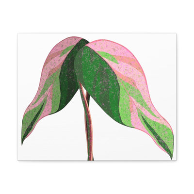 Pink Princess Philodendron Canvas, Canvas, Laura Christine Photography & Design, Art & Wall Decor, Canvas, Hanging Hardware, Home & Living, Indoor, Laura Christine Photography & Design, laurachristinedesign.com