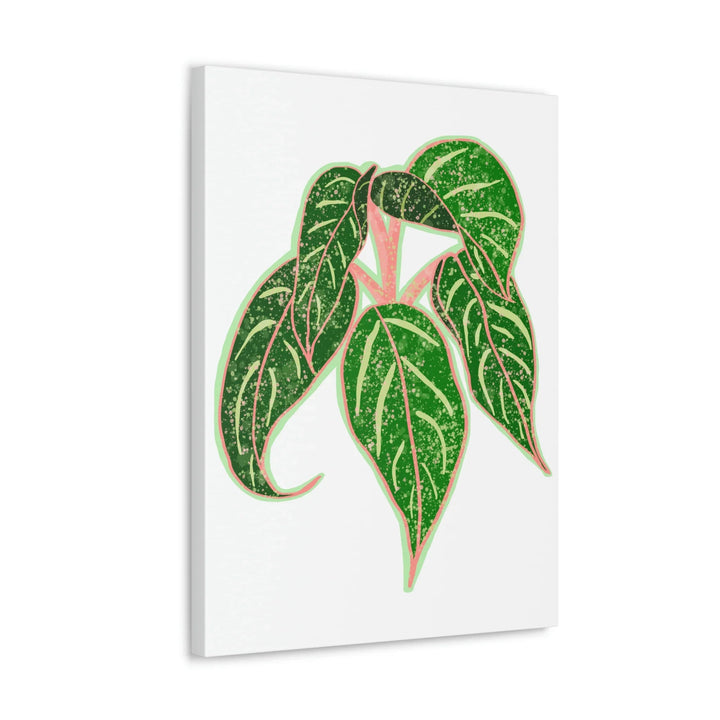 Aglaonema Plant Canvas | Sparkling Plant Artwork - Colorfast Canvas Art Print Decor