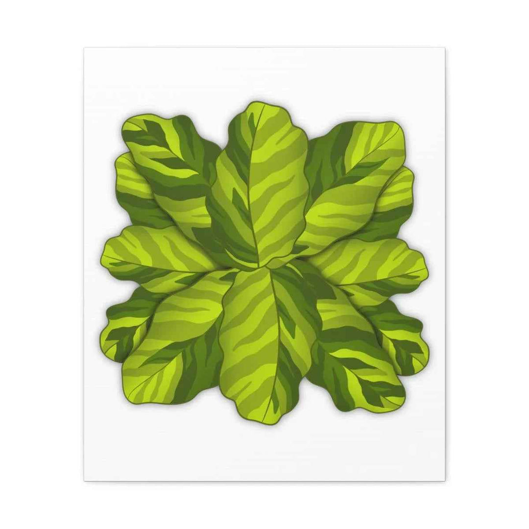 Calathea Yellow Fusion Canvas – Botanical Canvas Print With Unique Leaf Pattern Art