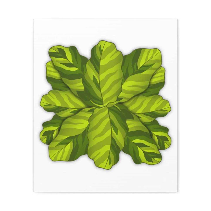 Calathea Yellow Fusion Canvas – Botanical Canvas Print With Unique Leaf Pattern Art