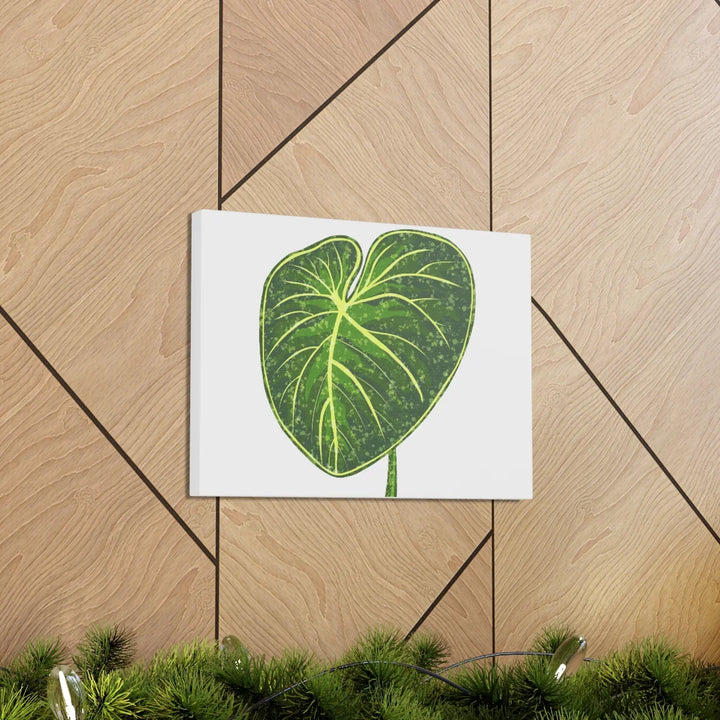 Philodendron Gloriosum Canvas - Stretched Canvas Art Print | Matte Indoor Wall Art - Laura Christine Photography & Design