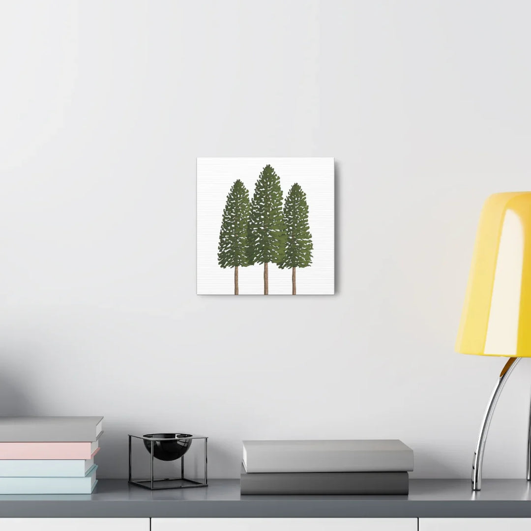 Ponderosa Pine Canvas - Large Stretched Cotton Canvas Art Print With Matte Finish