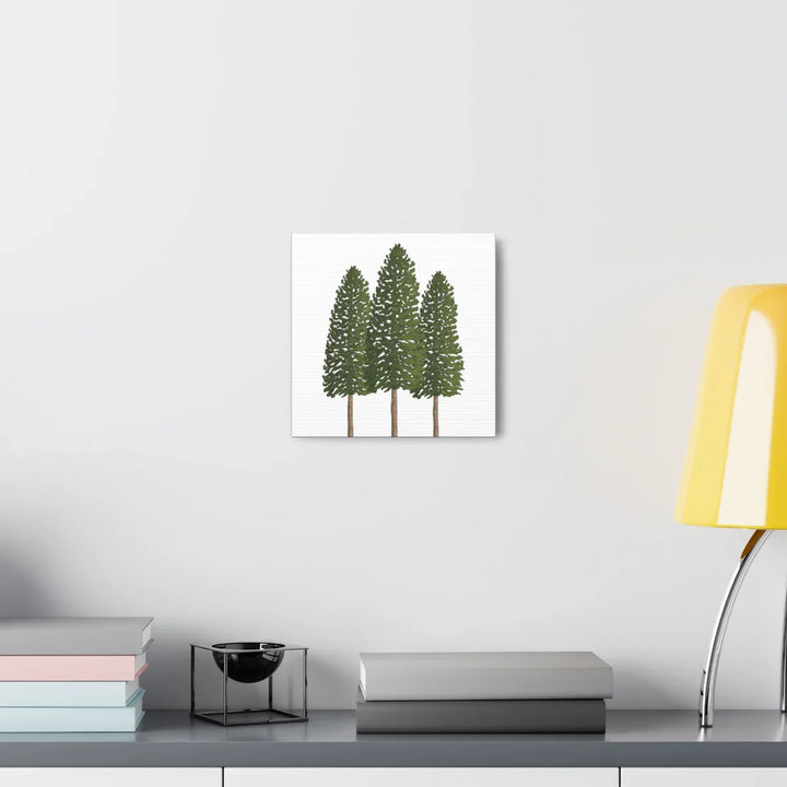 Ponderosa Pine Canvas - Large Stretched Cotton Canvas Art Print With Matte Finish