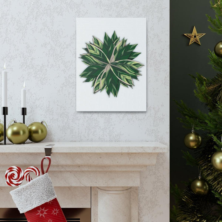 Stromanthe Triostar Canvas - Pastel Stripe Canvas Art Print With Vivid Color Artwork - Laura Christine Photography & Design