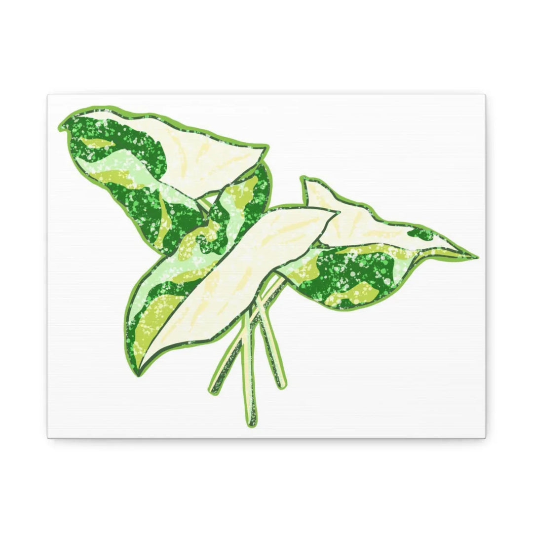 Marble Syngonium Canvas - Botanical Canvas Art Print | Durable Cotton Matte Finish - Laura Christine Photography & Design