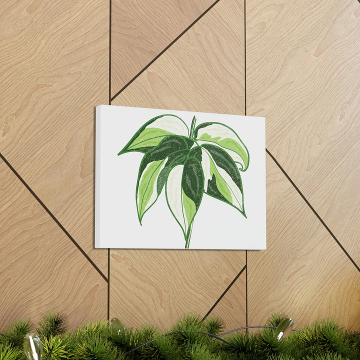 Philodendron Canvas Print - Cream Splash Variegated Plant Art on Matte Cotton Canvas