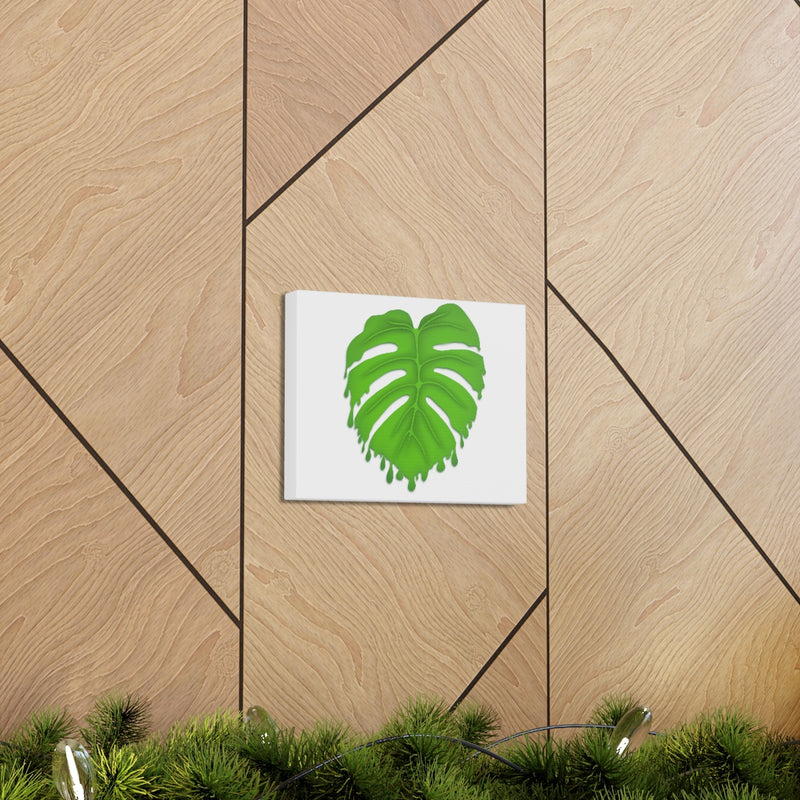 Melting Monstera Canvas