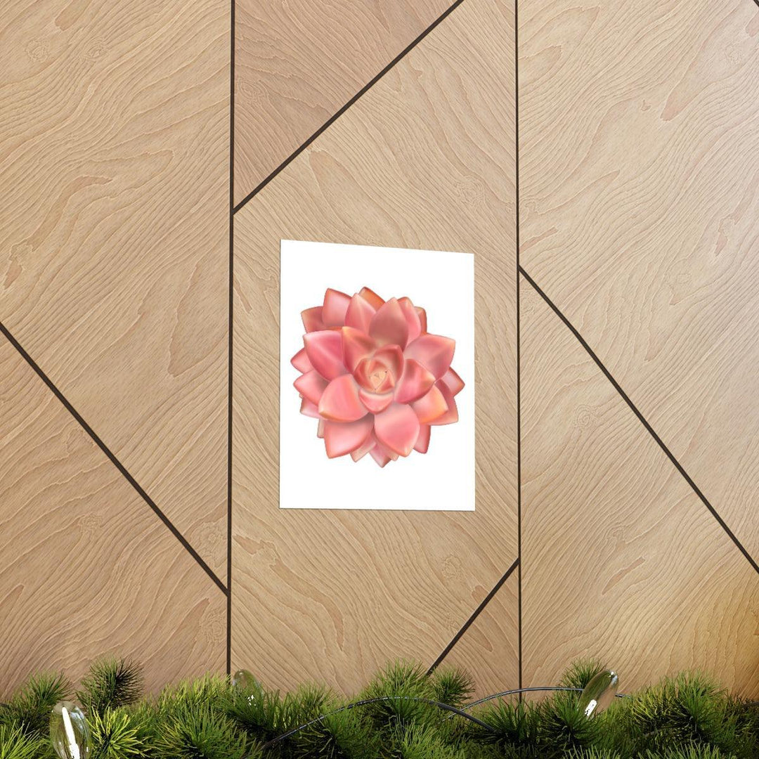 Graptosedum 'California Sunset'  Succulent Print, Poster, Laura Christine Photography & Design, Back to School, Home & Living, Indoor, Matte, Paper, Posters, Valentine's Day promotion, Laura Christine Photography & Design, laurachristinedesign.com