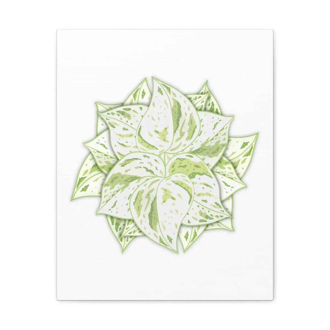 Snow Queen Pothos Canvas – Variegated Leaf Canvas Art Print | Durable Cotton